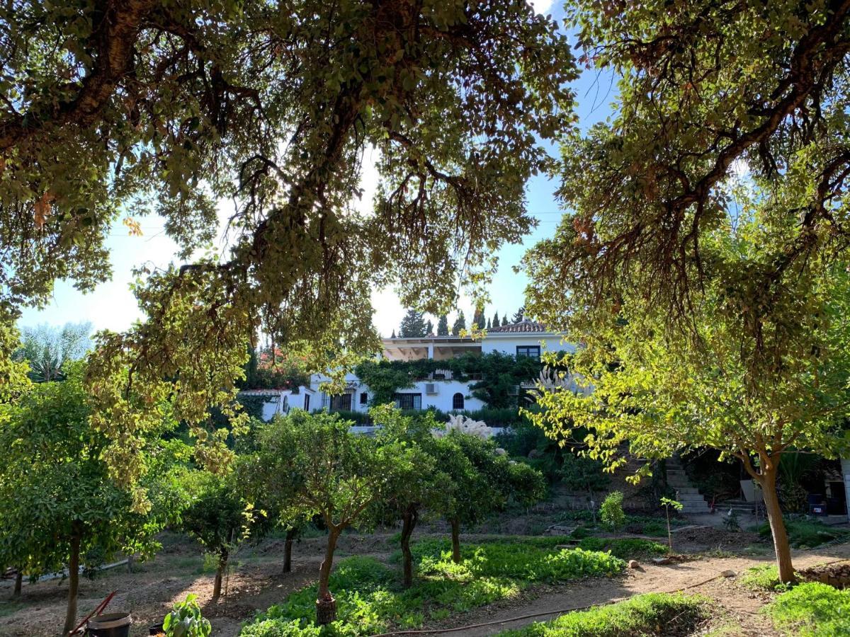 A Natural Retreat Mijas Exterior photo